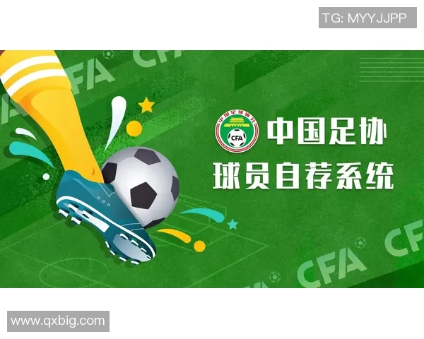 多位足球球星评价中国国家足球队表现与发展潜力分析